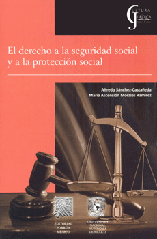 EL DERECHO A LA SEGURIDAD SOCIAL Y A LA PROTECCIÓN SOCIAL