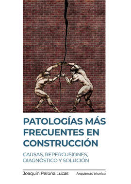 PATOLOGIAS MAS FRECUENTES EN CONSTRUCCI&#243;N